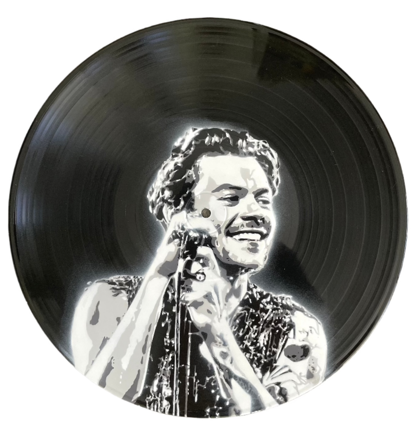 Harry Vinyl Record Art